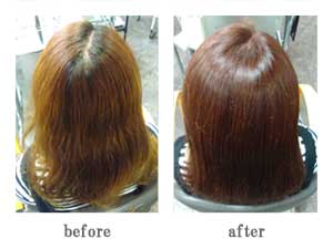 オリジナルカラー１